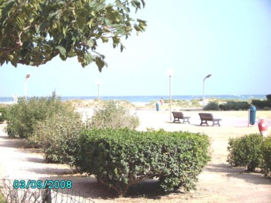 Barcares F2 Cabine, Rdc, Plage 50 M, 28 M2, 6 Personnes Le Barcarès Zewnętrze zdjęcie